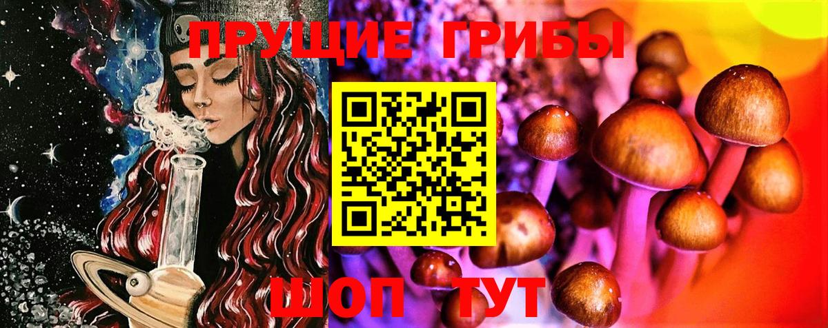 Галлюциногенные грибы GOLDEN TEACHER Коркино